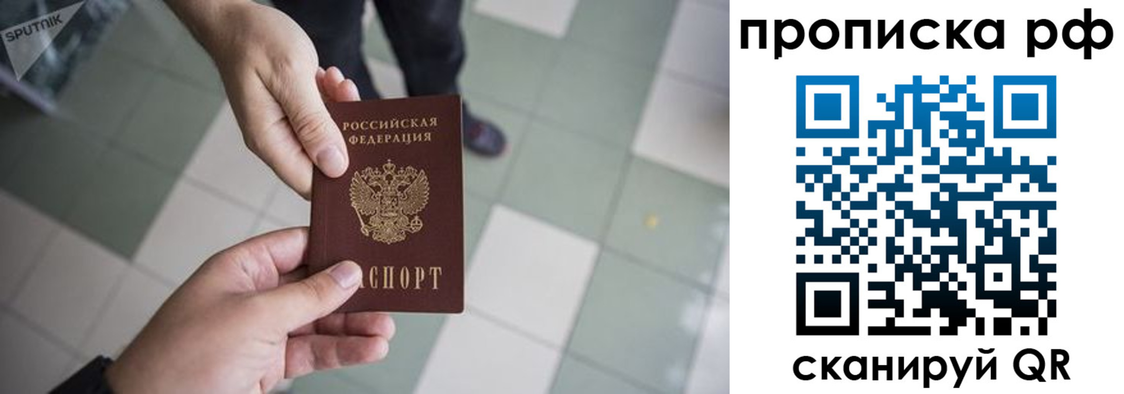 прописка гарантия в Купино
