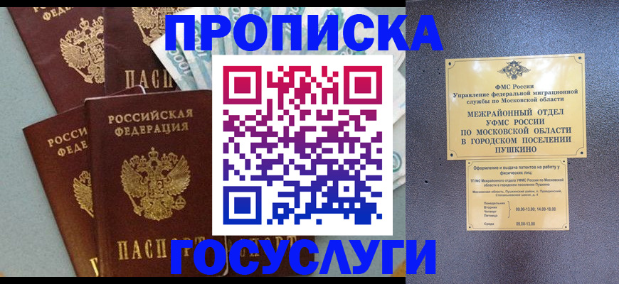 прописка гарантия в Купино